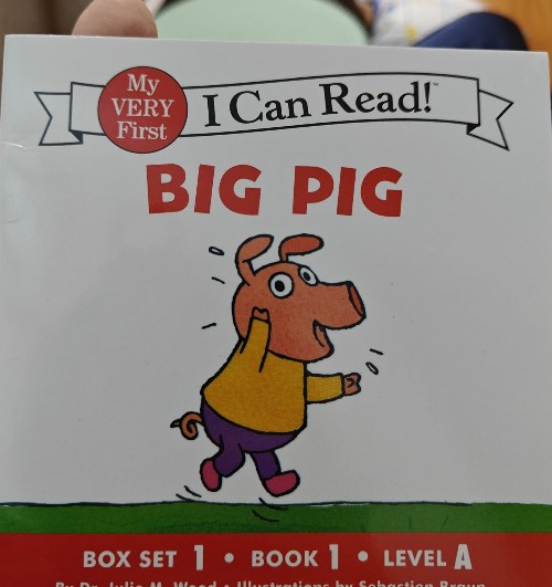 big pig