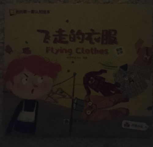 飞走的衣服