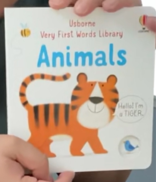 Usborn very first words library animal