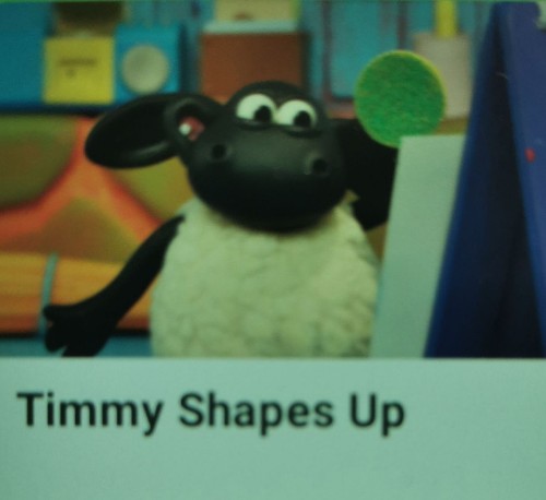 Timmy shapes up