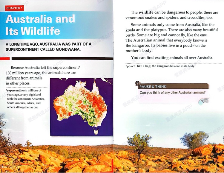 wild australia
