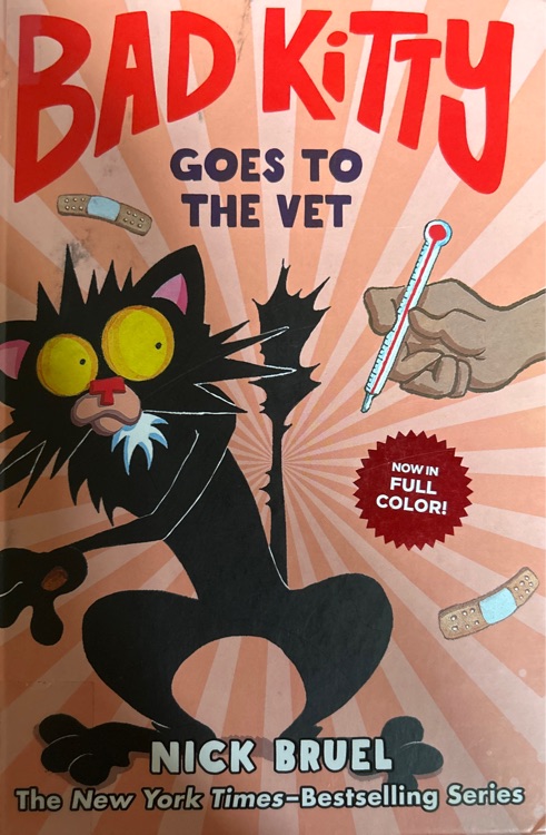Bad kitty goes to the vet