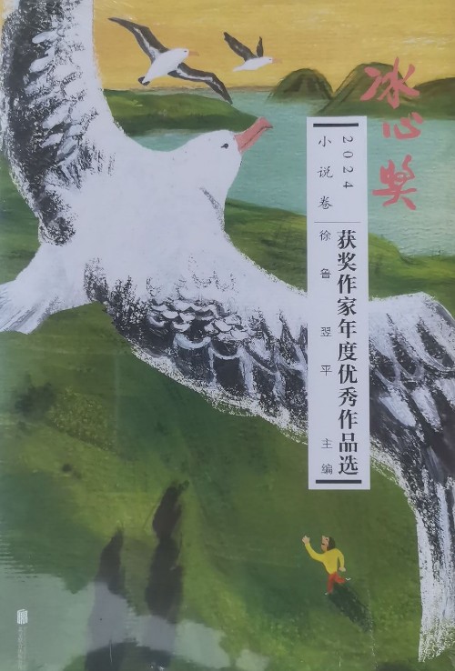冰心獎獲獎作家年度優(yōu)秀作品選2024小說卷