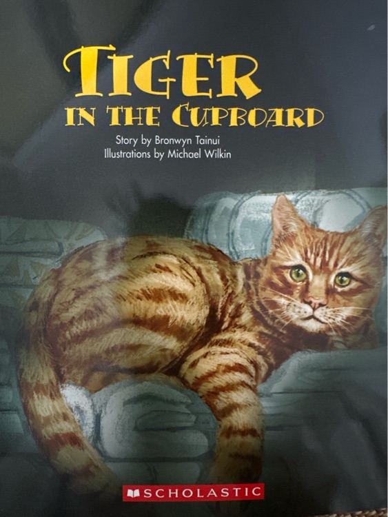 tiger in the cupboard