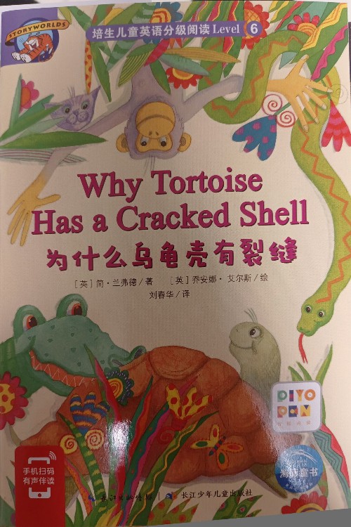 why tortoise has a cracked shell