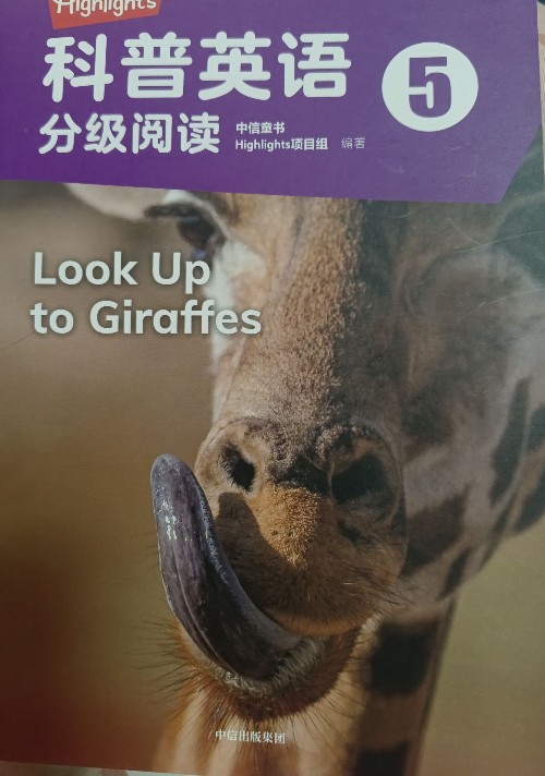 Look up to giraffe