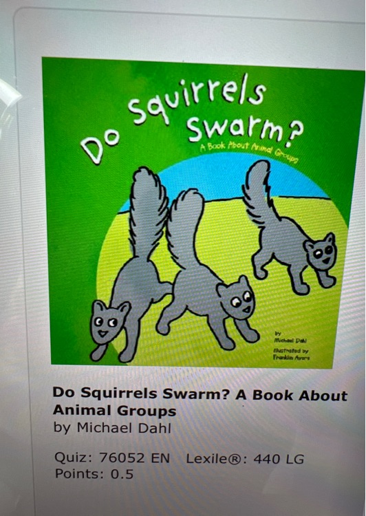 Do squirrels swarm?