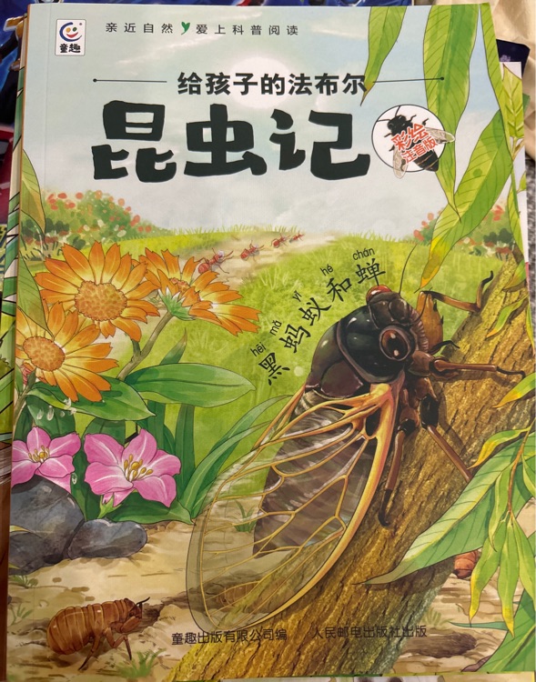 給孩子的法布爾昆蟲(chóng)記-黑螞蟻和蟬