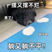 芒果在這里