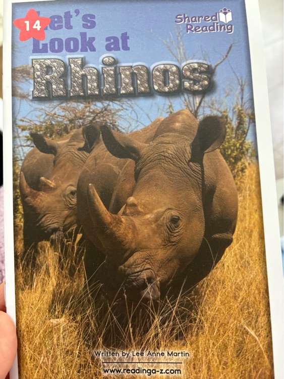 Let's look at rhinos