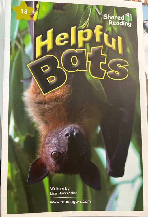 Helpful bats