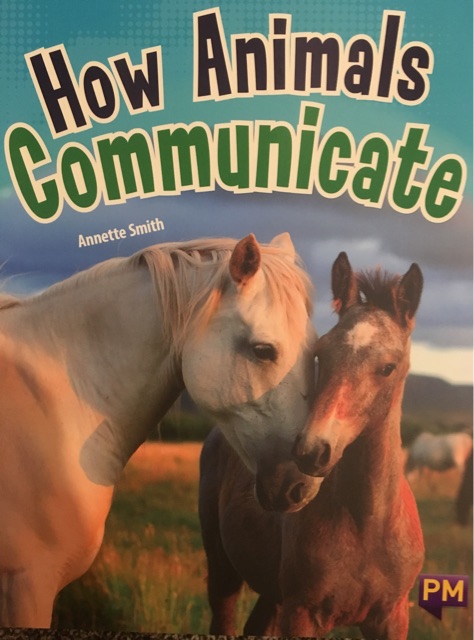 How Animals Communicate