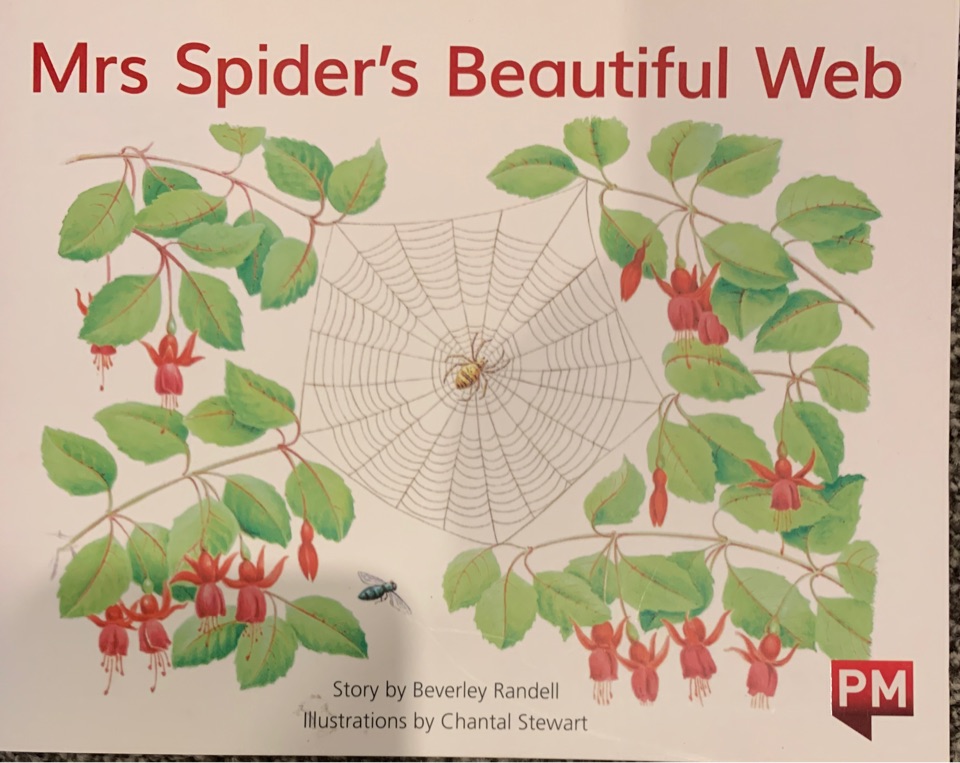 Mrs Spider's Beautiful Web