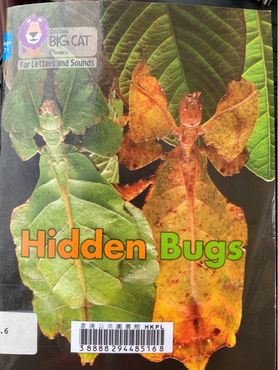 Hidden Bugs