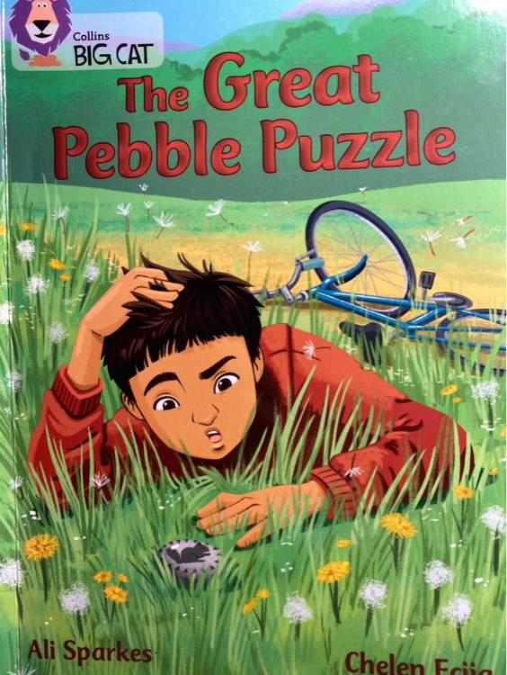 The Great Pebble Puzzle