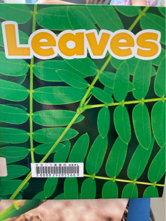 Leaves