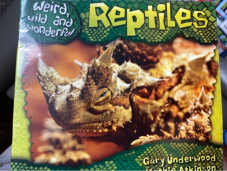 Weird, Wild and Wonderful Reptiles