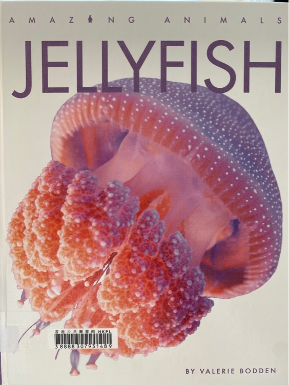 Jellyfish