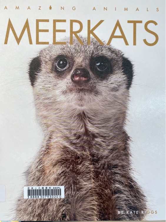 Meerkats