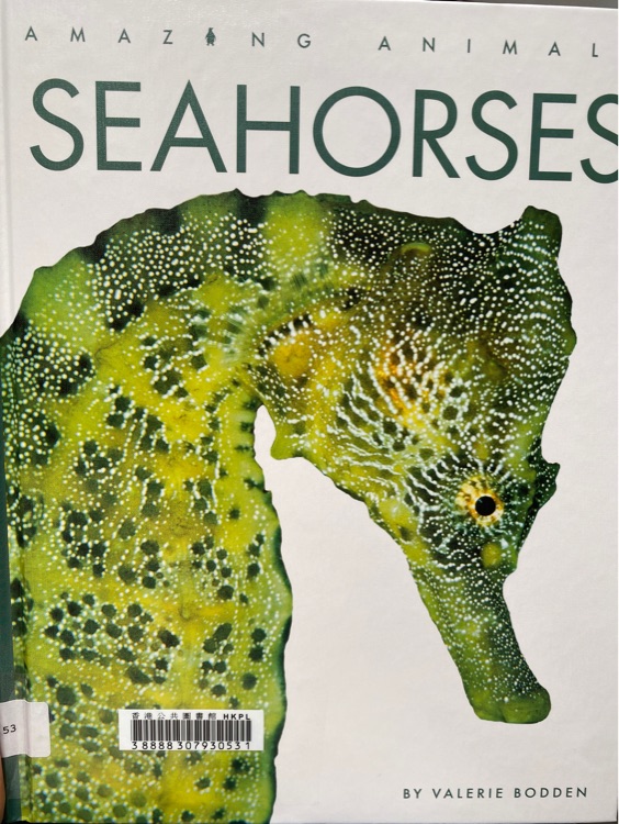 Seahorse