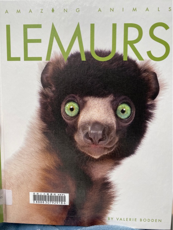 Lemurs