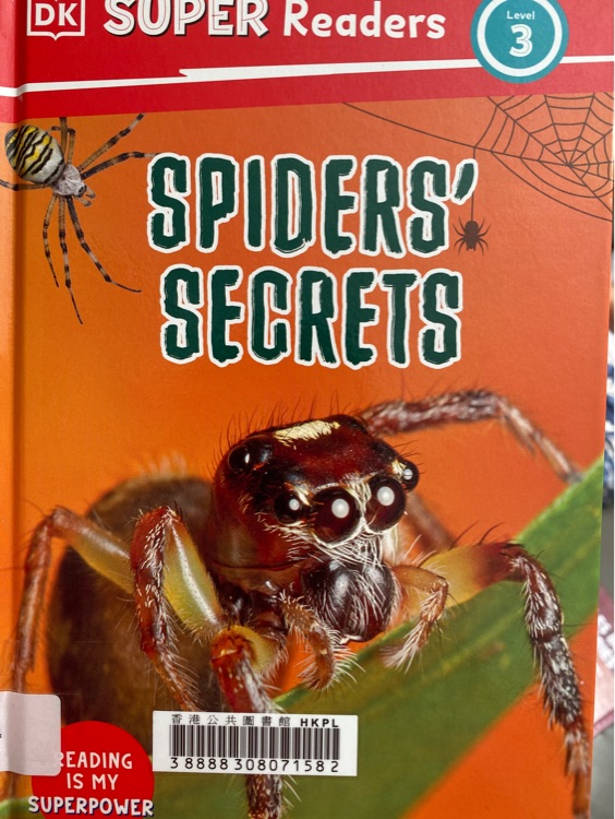 Spider's Secrets