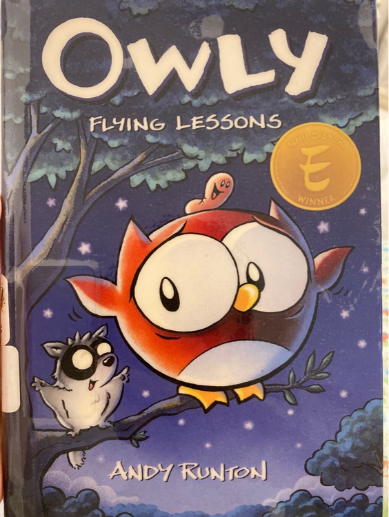 Owly Flying Lessons