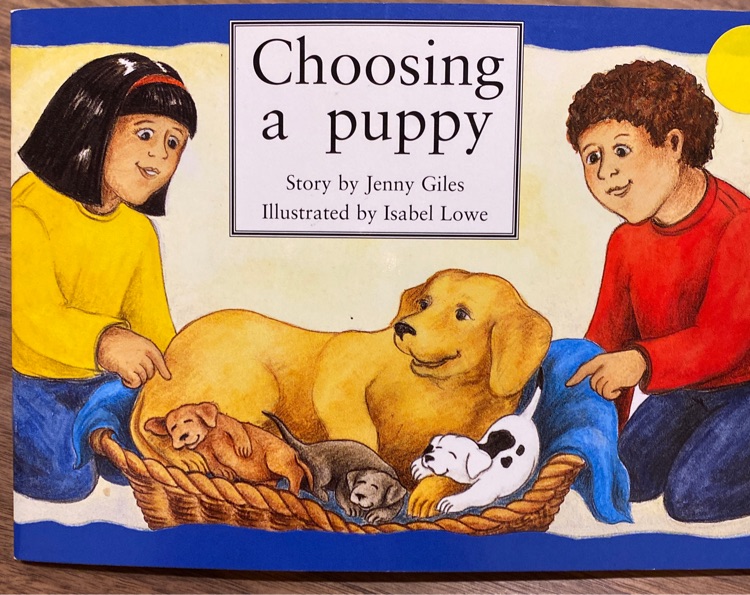 Choosing a puppy