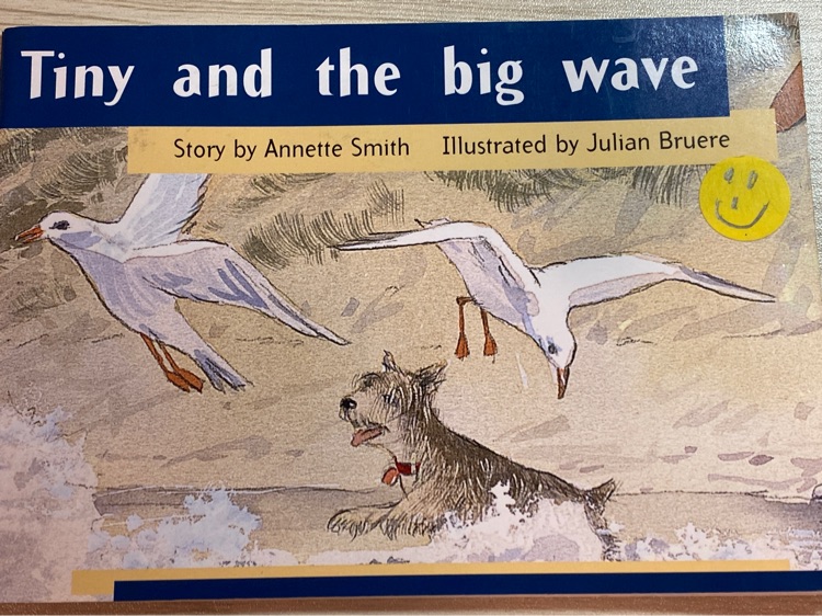 Tiny and the big wave
