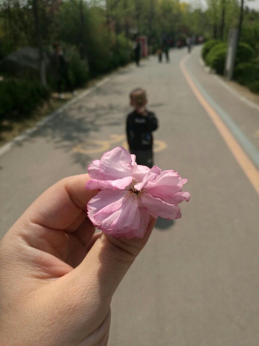 讓兒子更愛幼兒園