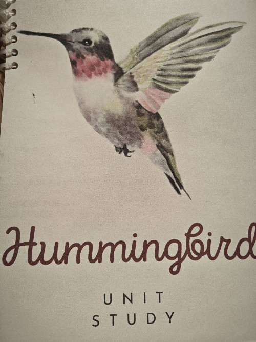 Hummingbird unit study