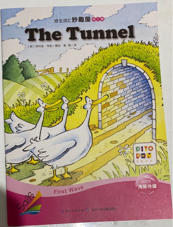 The Tunnel