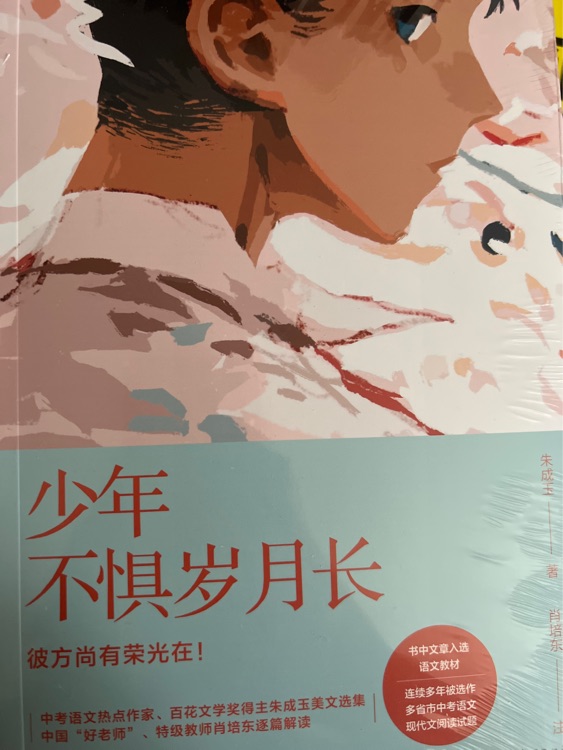 少年不懼歲月長
