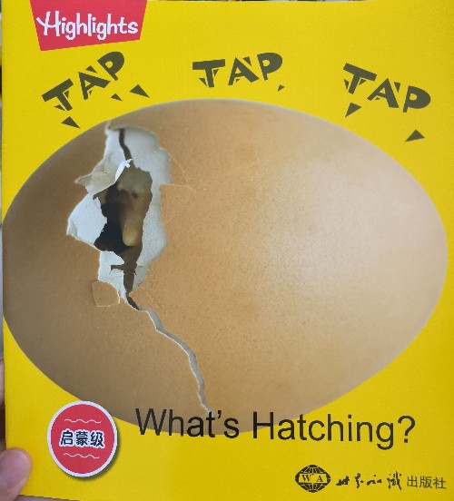 Tap Tap Tap What's Hatching?