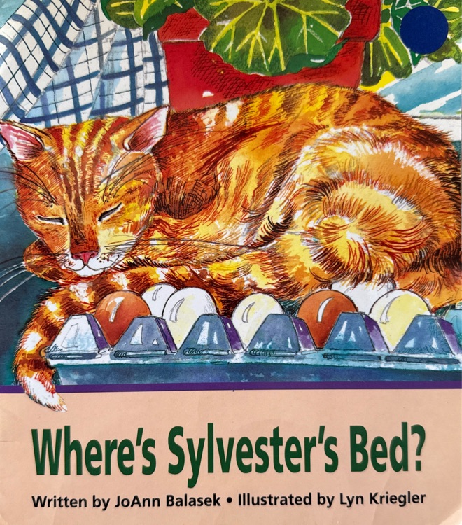 Where's Sylvester's Bed?