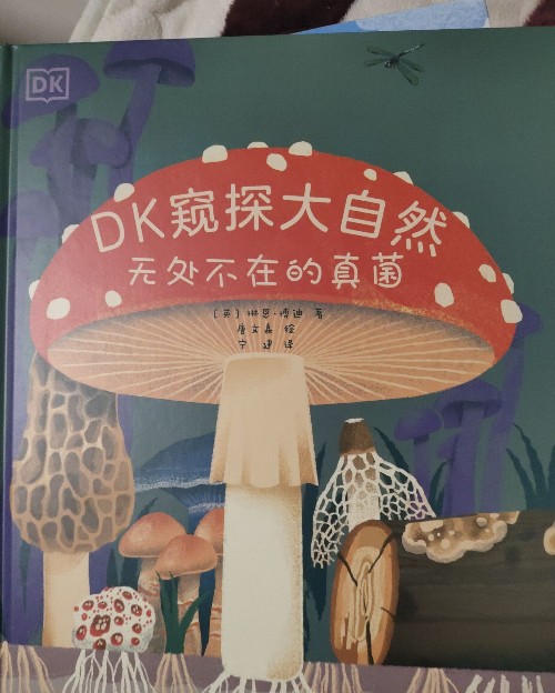 Dk窺探大自然-無處不在的真菌