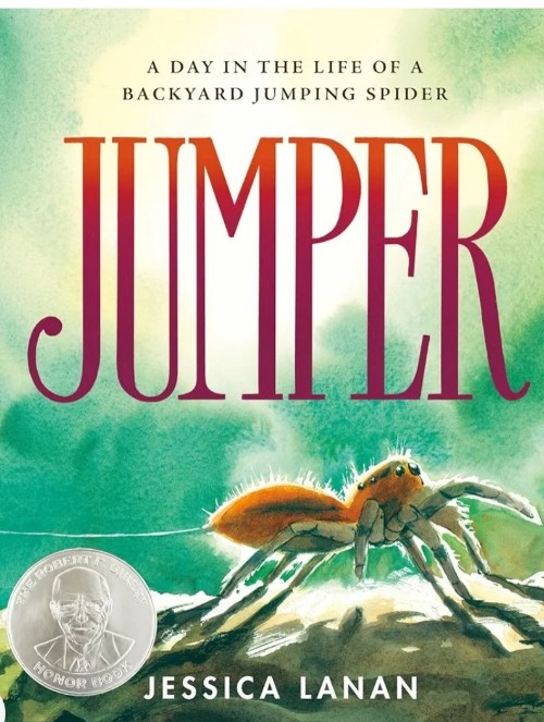 Jumper: A Day in the Life of a Backyard Jumping Spider