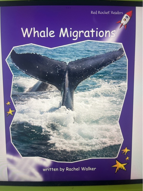Whale migration