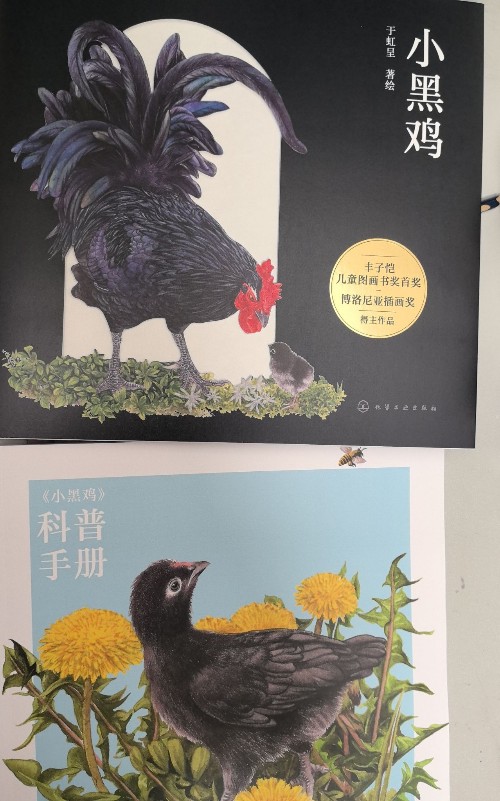 小黑雞(含科普手冊)