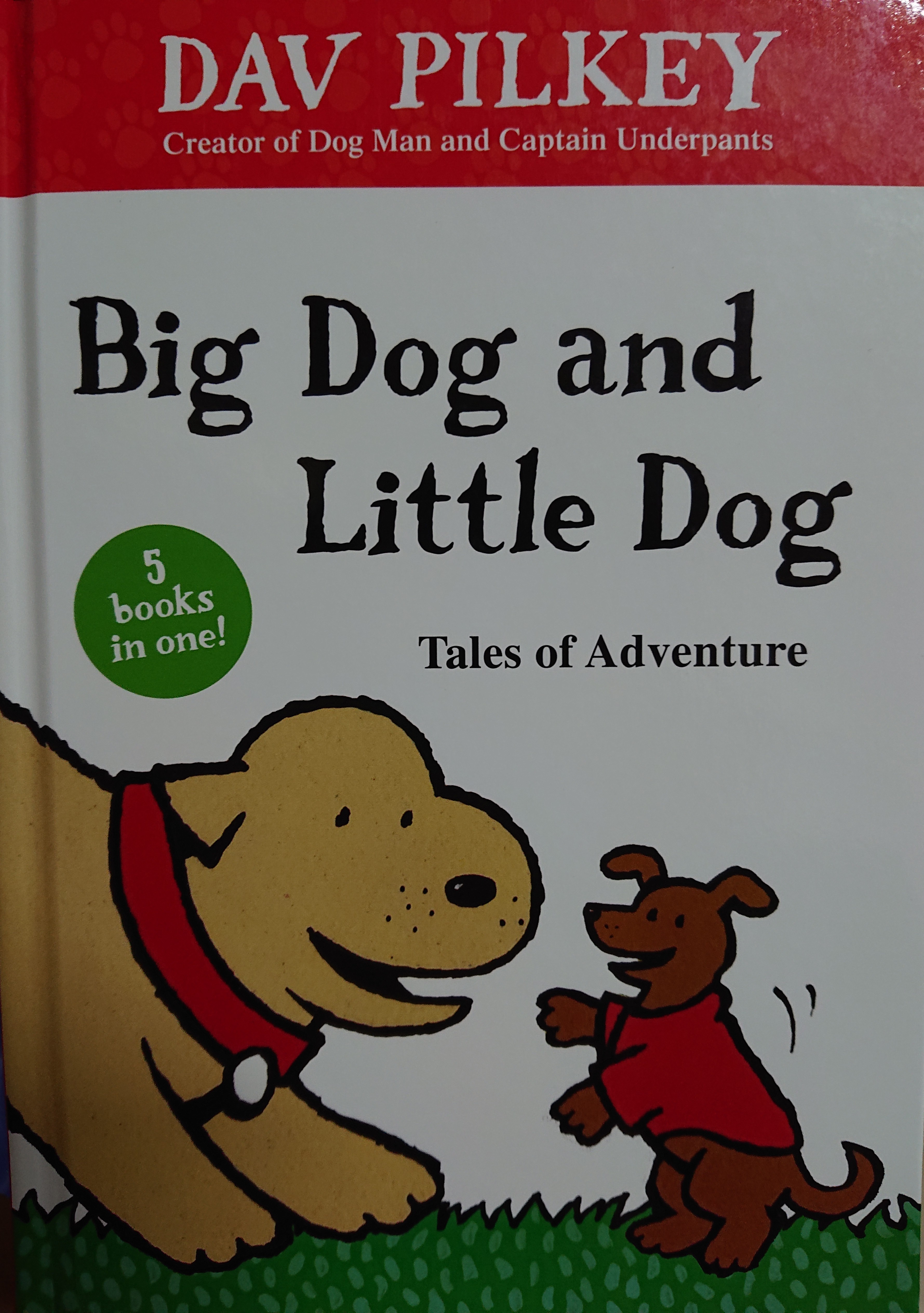 Big dog and little dog : tales of adventure (5 books in one)