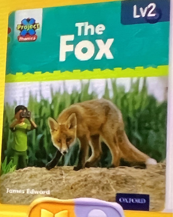 The fox