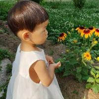 短指妈