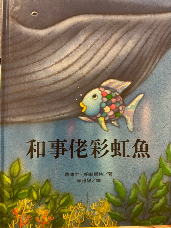 和事佬彩虹魚(yú)