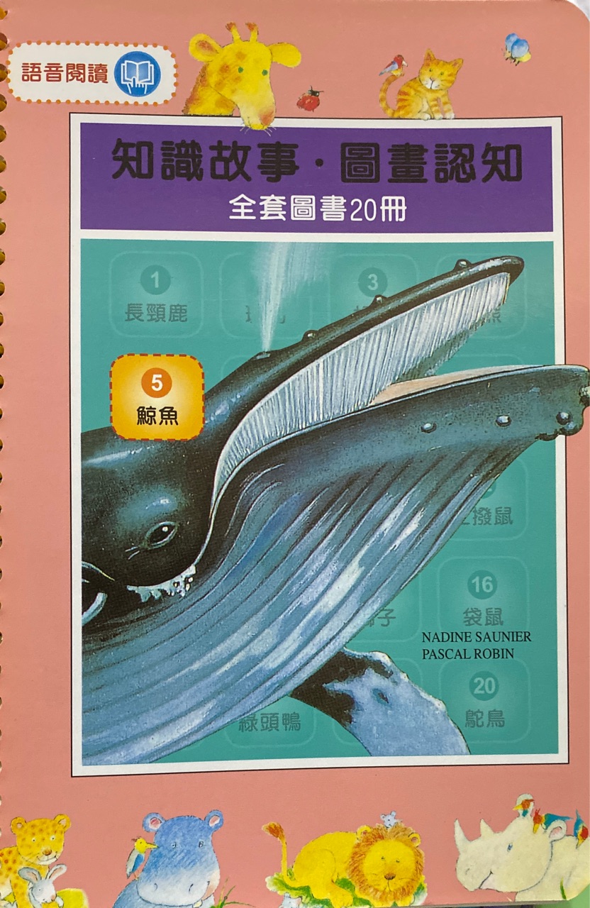 智識故事、圖畫認(rèn)知鯨魚