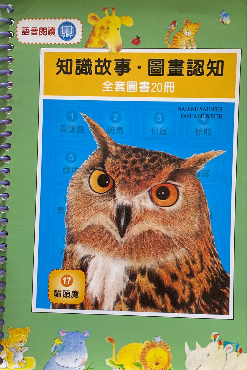 智識故事、圖畫認(rèn)知貓頭鷹