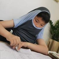 杨何陈