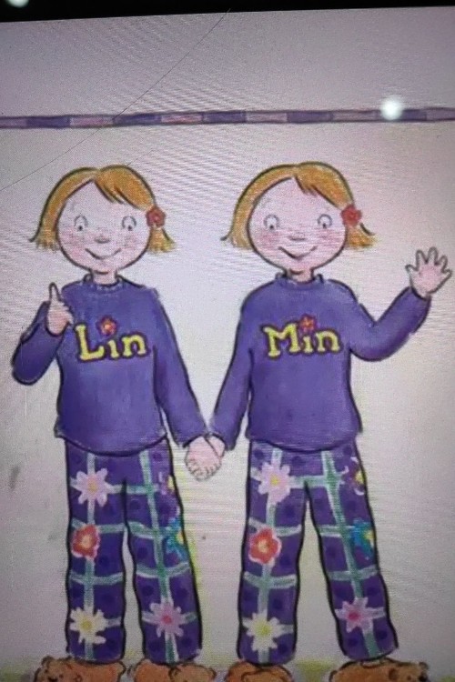 lin and min are twins