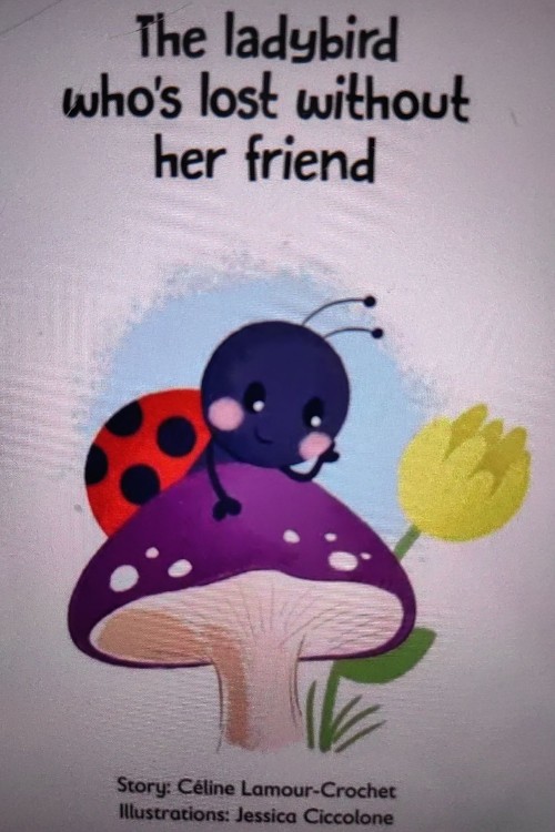 the ladybird who's lost without her friend