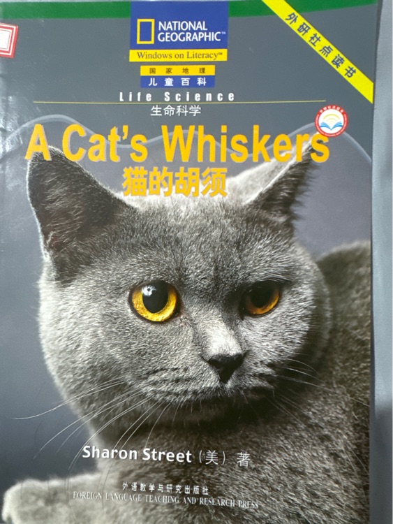 A cat's whiskers