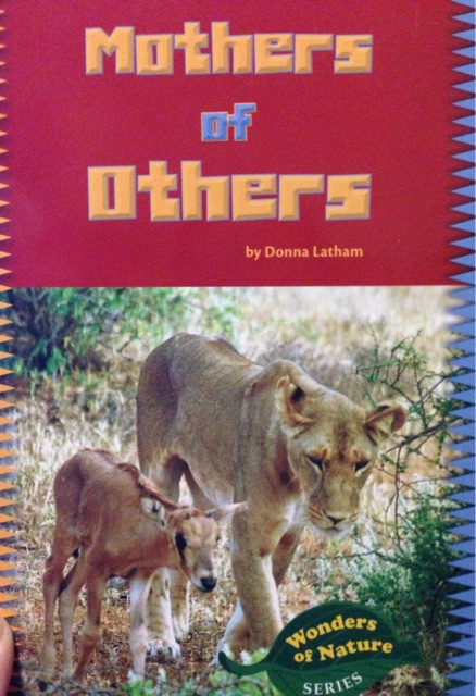 Mothers Of Others